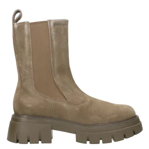 Ash Main | Tronchetto Loud Fango