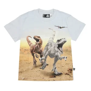 Molo | T-Shirt Roxo Grigio