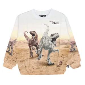 Molo | Felpa Miksi Grigio