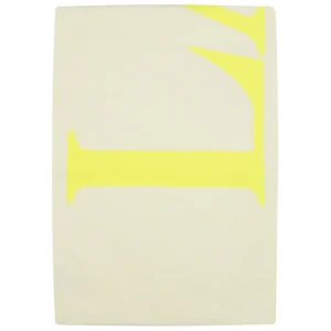 Lanvin | Sciarpa Bianca