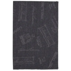 Lanvin | Sciarpa Grigia