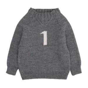 1+ in the family | Maglia Grigio