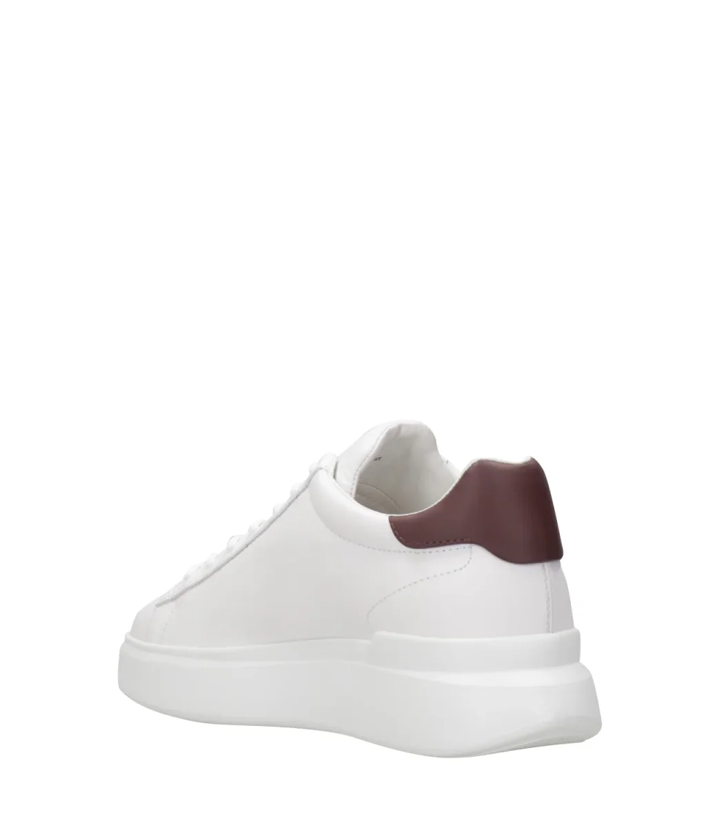 Hogan | Sneakers H580 Panna e Bordeaux - immagine 5