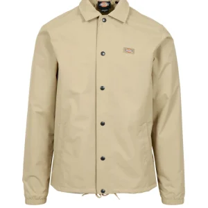 Dickies | Giubbotto Kaki