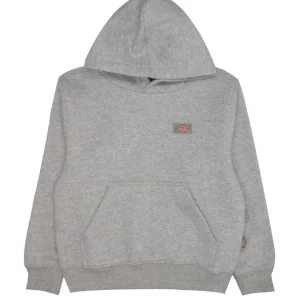 Dickies Kids | Felpa Oakport Grigio