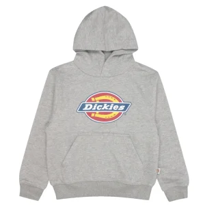 Dickies Kids | Felpa Oakport Grigio