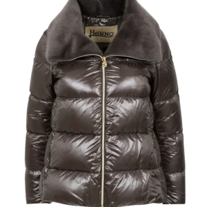 Herno | Piumino Castoro