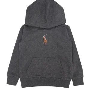 Ralph Lauren Childrenswear | Felpa Grigia