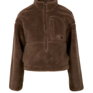 The North Face | Giubbotto Extreme Marrone