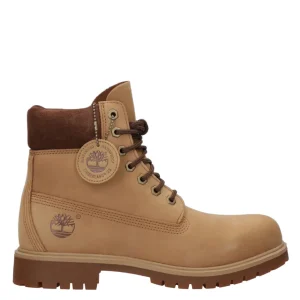 Timberland | Anfibio Tb25 6 In Lace Waterproof Cammello
