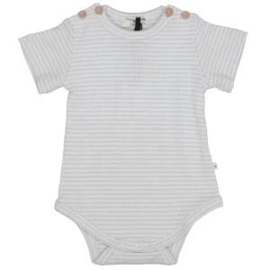 1+ in the family | Body Celeste