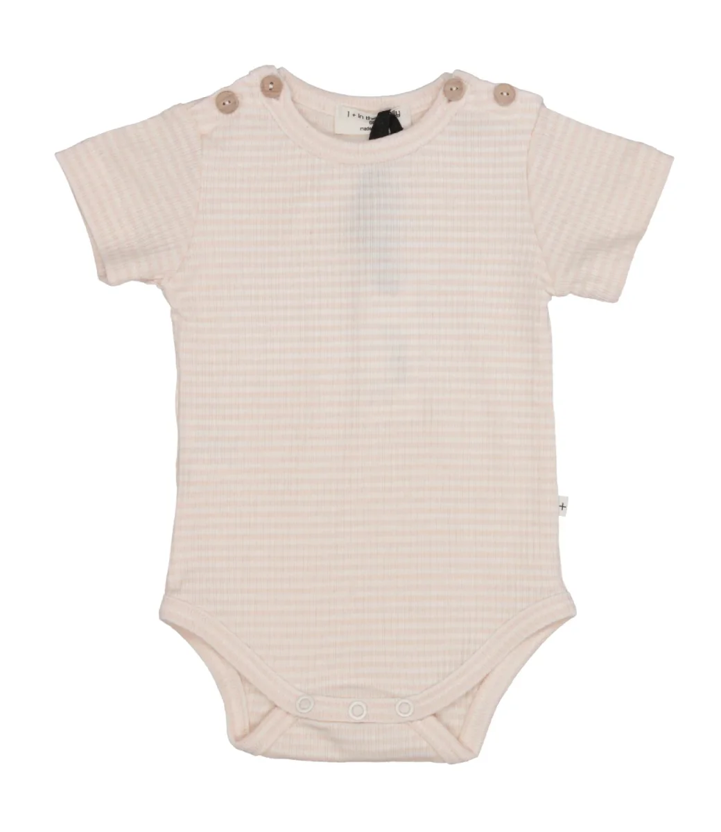 1+ in the family | Body Nude