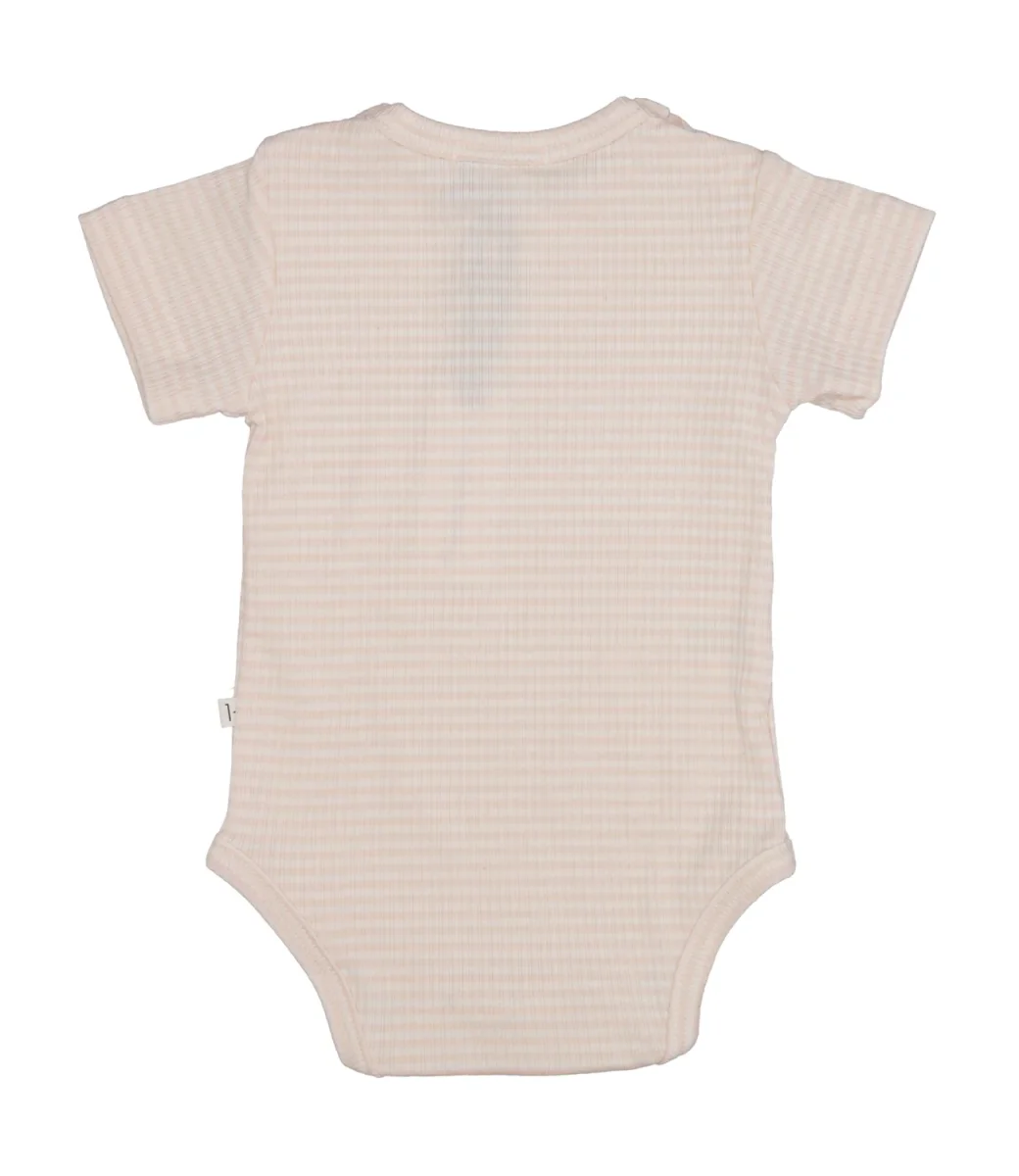 1+ in the family | Body Nude - immagine 3