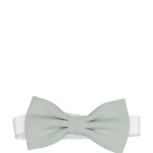 Carlo Pignatelli Junior | Papillon Pistacchio