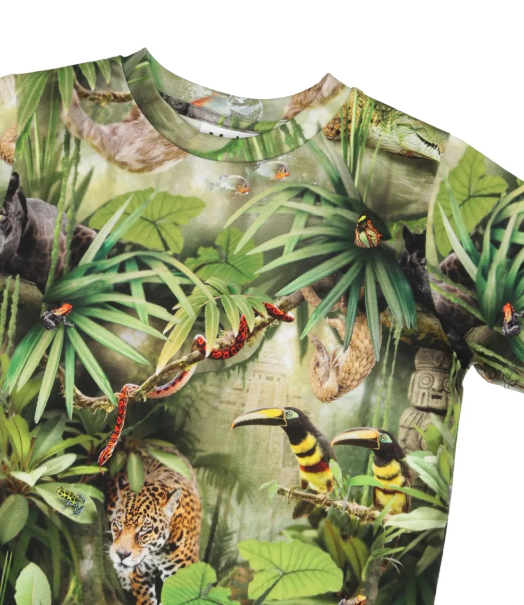 Molo | T-Shirt Ralphie Verde - immagine 4