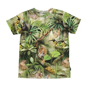 Molo | T-Shirt Ralphie Verde