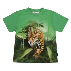 Molo | T-Shirt Riley Verde bandiera