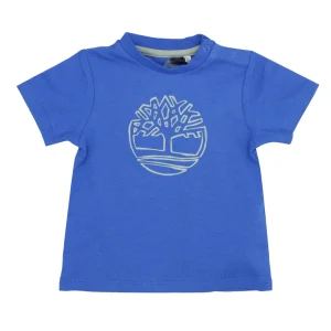 Timberland Kids | T-Shirt Azzurro