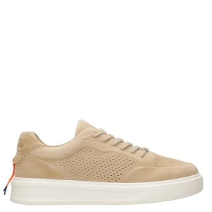 Barracuda | Sneakers Phoenix Deserto