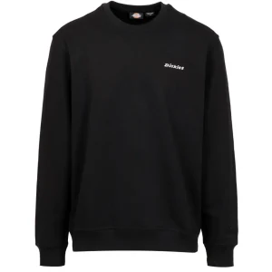 Dickies | Felpa Nero