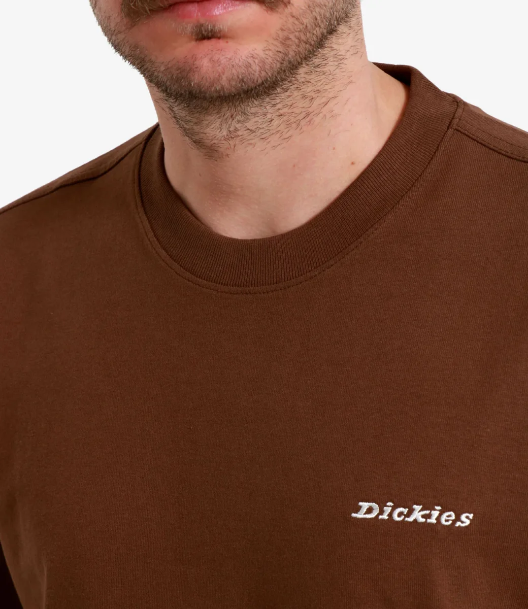 Dickies | T-shirt Marrone - immagine 5